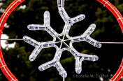 The only snowflake in town on Christmas day